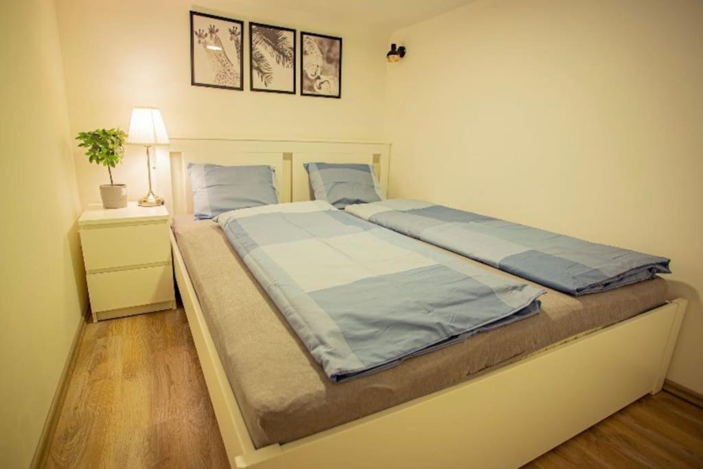 Cosy 2 Bedroom Flat In Akacfa St., Sol Budapest Bagian luar foto