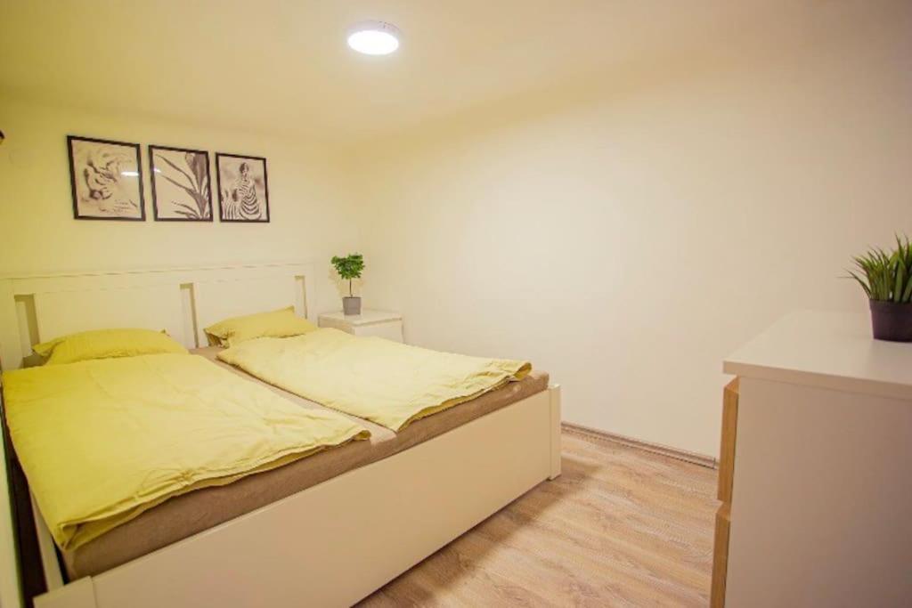 Cosy 2 Bedroom Flat In Akacfa St., Sol Budapest Bagian luar foto